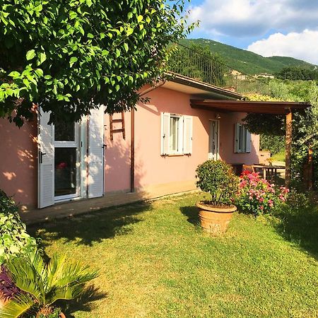 Assisi Villa Randr San Vitale Kültér fotó